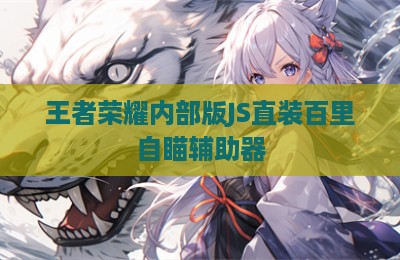 王者荣耀内部版JS直装百里自瞄辅助器