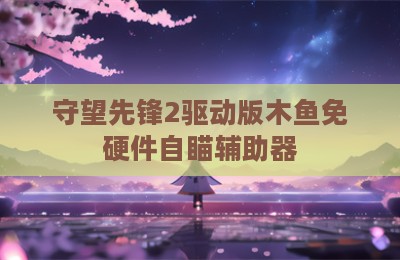 守望先锋2驱动版木鱼免硬件自瞄辅助器