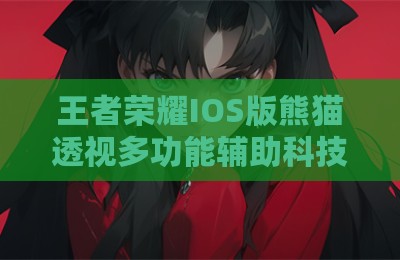 王者荣耀IOS版熊猫透视多功能辅助科技