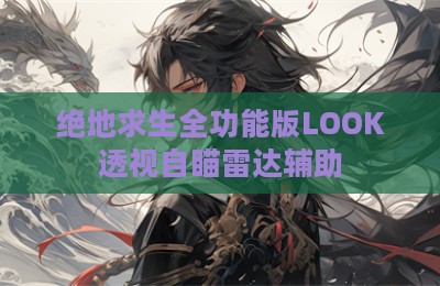 绝地求生全功能版LOOK透视自瞄雷达辅助