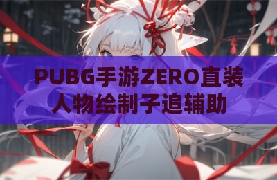 PUBG手游ZERO直装人物绘制子追辅助