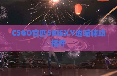 CSGO官匹5E版XY透瞄辅助插件