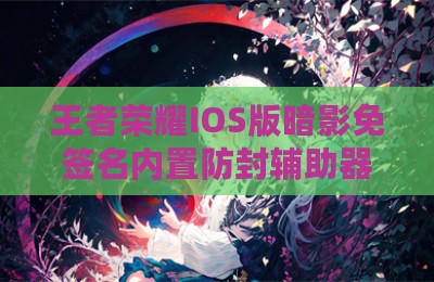 王者荣耀IOS版暗影免签名内置防封辅助器
