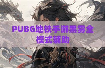 PUBG地铁手游黑雾全模式辅助