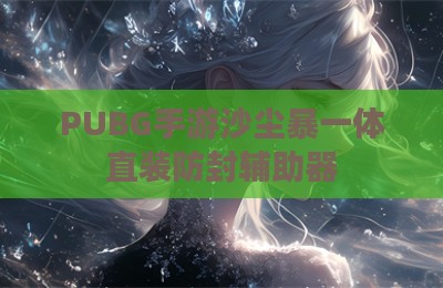 PUBG手游沙尘暴一体直装防封辅助器