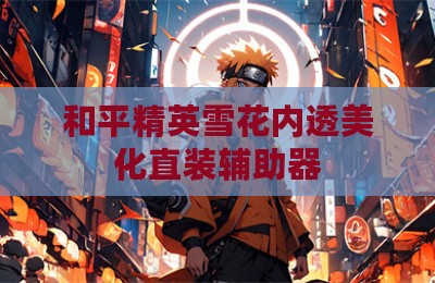 和平精英雪花内透美化直装辅助器