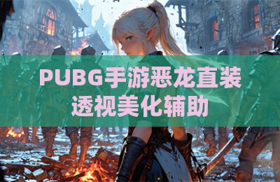 PUBG手游恶龙直装透视美化辅助