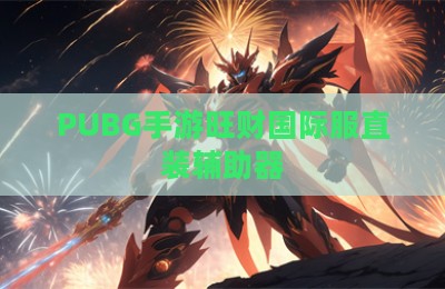 PUBG手游旺财国际服直装辅助器