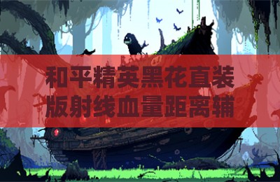 和平精英黑花直装版射线血量距离辅助器