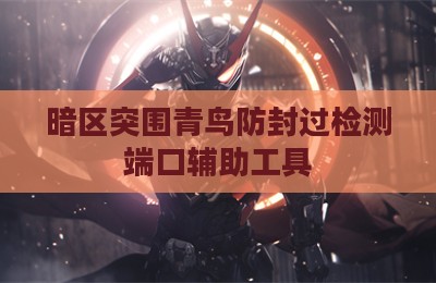 暗区突围青鸟防封过检测端口辅助工具