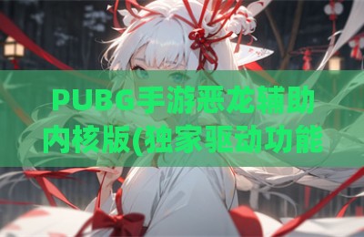 PUBG手游恶龙辅助内核版(独家驱动功能)v9.26
