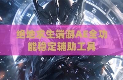 绝地求生端游AE全功能稳定辅助工具