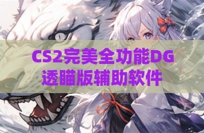 CS2完美全功能DG透瞄版辅助软件