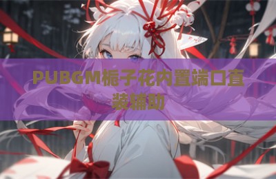 PUBGM栀子花内置端口直装辅助