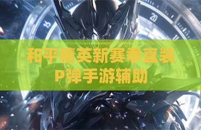 和平精英新赛季直装P弹手游辅助