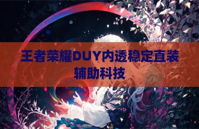 王者荣耀DUY内透稳定直装辅助科技