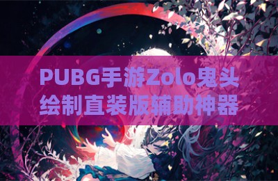 PUBG手游Zolo鬼头绘制直装版辅助神器