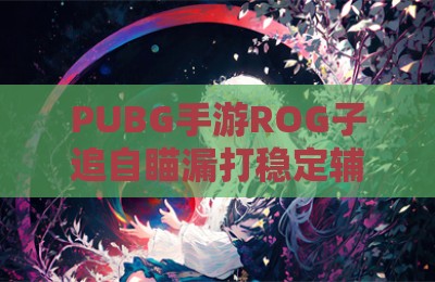 PUBG手游ROG子追自瞄漏打稳定辅助插件