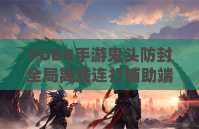 PUBG手游鬼头防封全局离线连打辅助端口