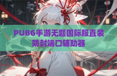 PUBG手游无题国际服直装防封端口辅助器