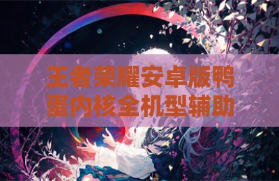 王者荣耀安卓版鸭蛋内核全机型辅助器