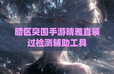 暗区突围手游晴雅直装过检测辅助工具