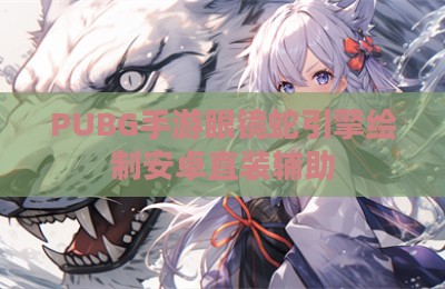PUBG手游眼镜蛇引擎绘制安卓直装辅助