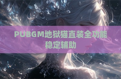 PUBGM地狱猫直装全功能稳定辅助
