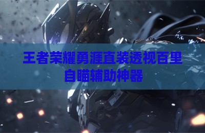 王者荣耀勇涯直装透视百里自瞄辅助神器