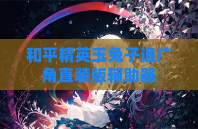 和平精英玉兔子追广角直装版辅助器