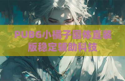 PUBG小橘子国体直装版稳定辅助科技