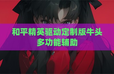 和平精英驱动定制版牛头多功能辅助