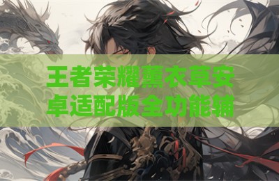 王者荣耀薰衣草安卓适配版全功能辅助器