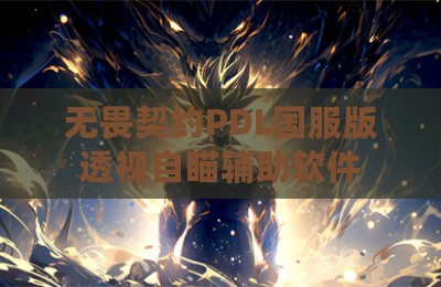 无畏契约PDL国服版透视自瞄辅助软件