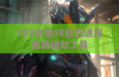 CS2永恒5E官匹通用透瞄辅助工具