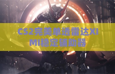 CS2完美单透雷达XIMI稳定辅助器