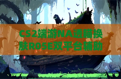 CS2端游NA透瞄换肤R05E双平台辅助器