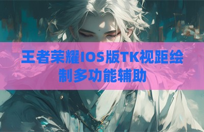 王者荣耀IOS版TK视距绘制多功能辅助
