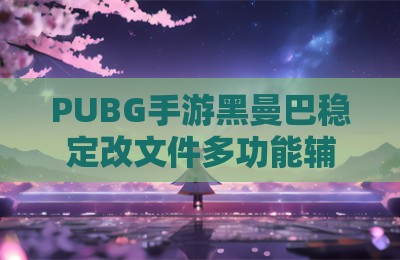PUBG手游黑曼巴稳定改文件多功能辅助