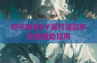 和平精英DY漏打追踪多功能辅助应用