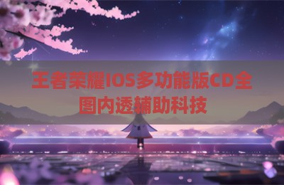 王者荣耀IOS多功能版CD全图内透辅助科技