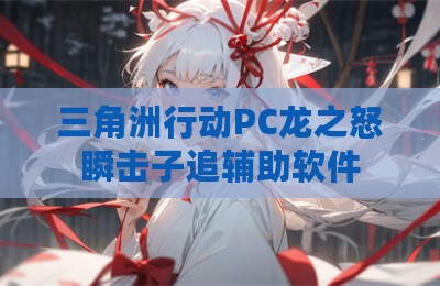 三角洲行动PC龙之怒瞬击子追辅助软件