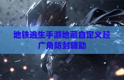 地铁逃生手游地藏自定义超广角防封辅助
