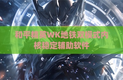 和平精英WK地铁双模式内核稳定辅助软件