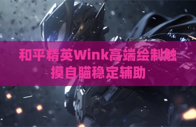 和平精英Wink高端绘制触摸自瞄稳定辅助