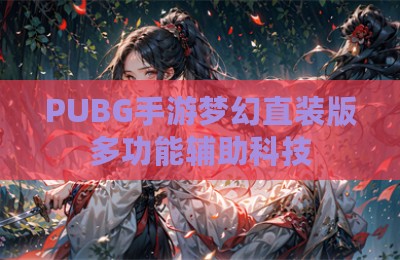 PUBG手游梦幻直装版多功能辅助科技
