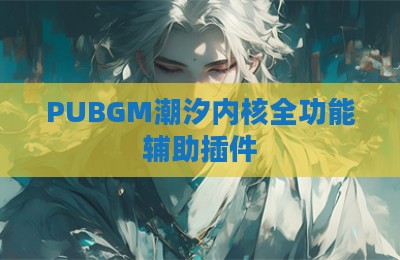 PUBGM潮汐内核全功能辅助插件