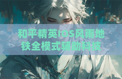 和平精英IOS风雨地铁全模式辅助科技