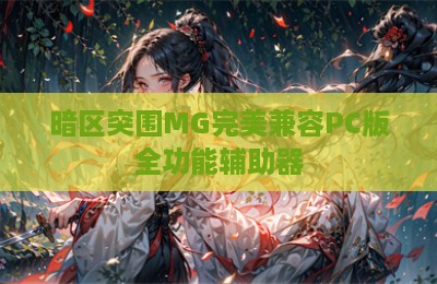 暗区突围MG完美兼容PC版全功能辅助器