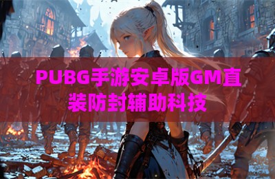 PUBG手游安卓版GM直装防封辅助科技